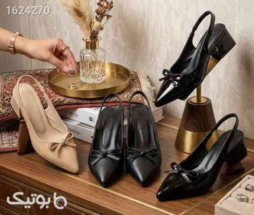 کفش مجلسی 